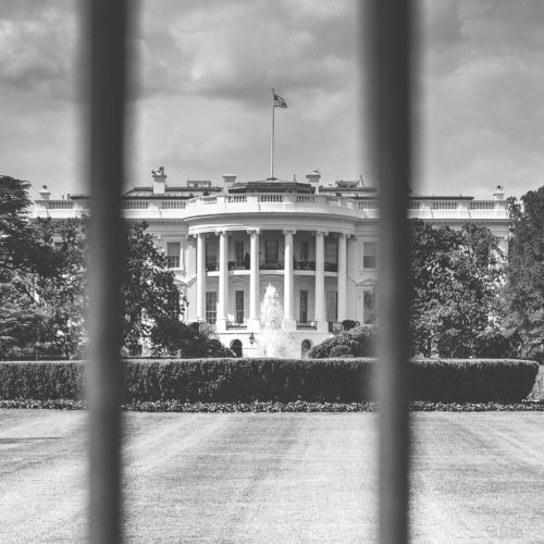 Government IT Services